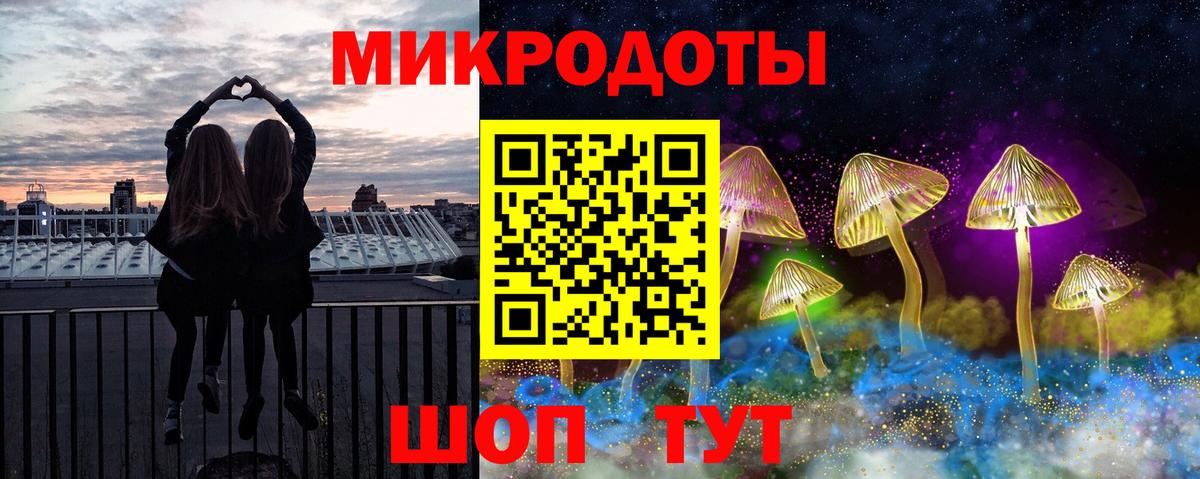 Псилоцибиновые грибы Cubensis Сосновоборск