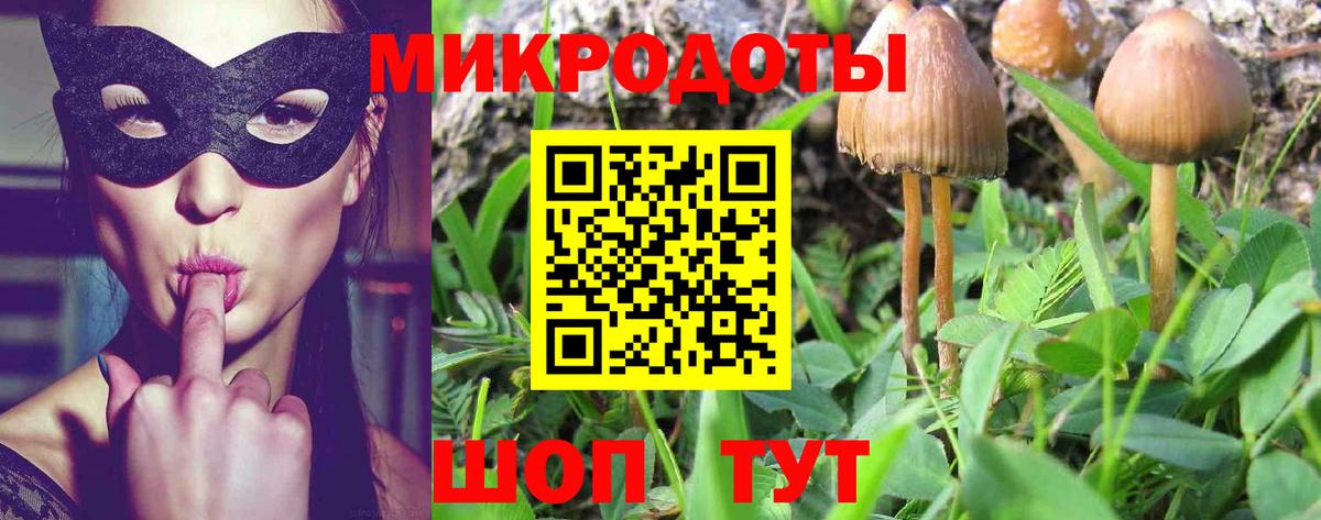 Сосновоборск  Псилоцибиновые грибы Psilocybine cubensis  Вход с VPN 